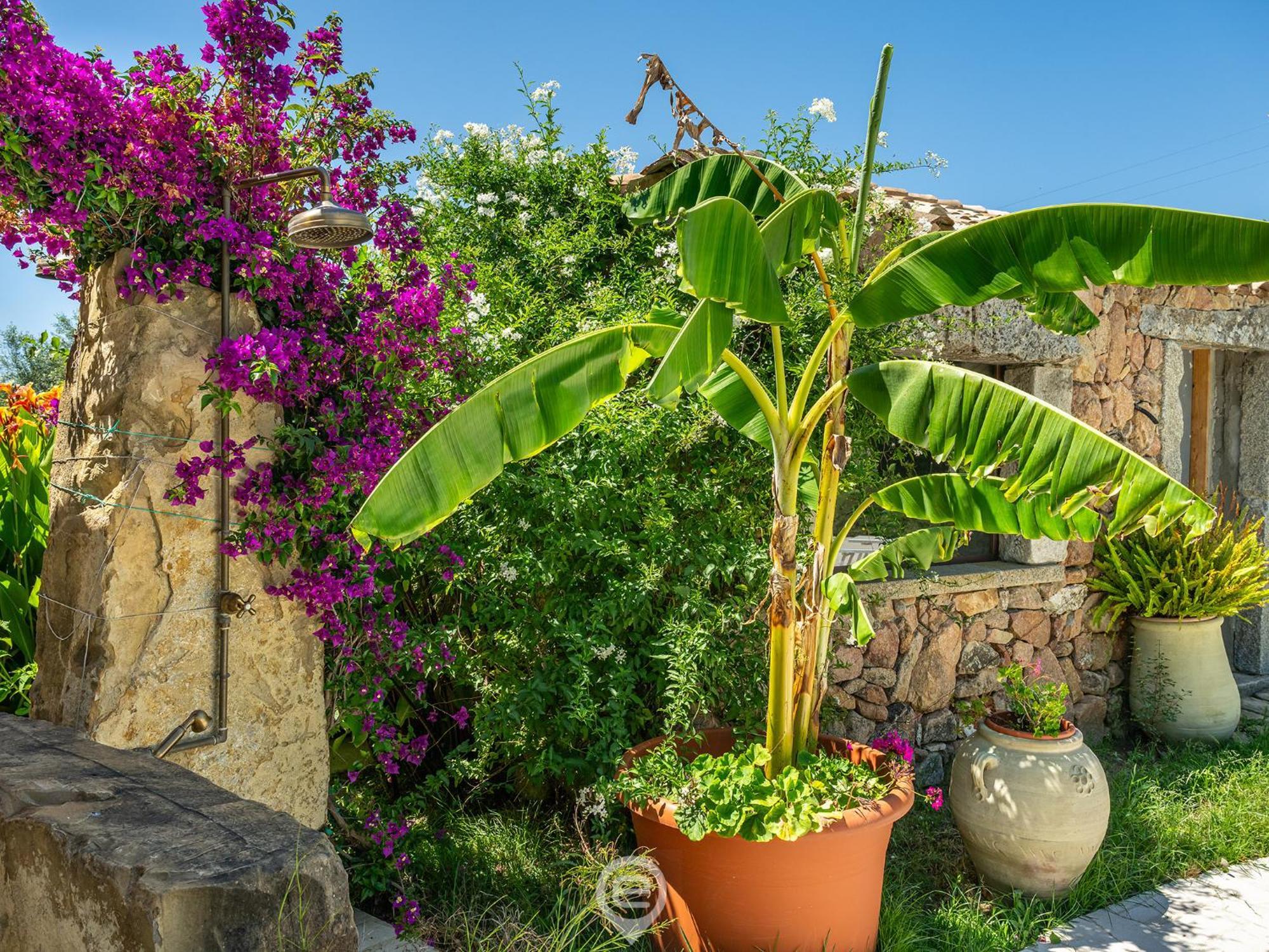 דירות Maracalagonis Tanca De Mar מראה חיצוני תמונה
