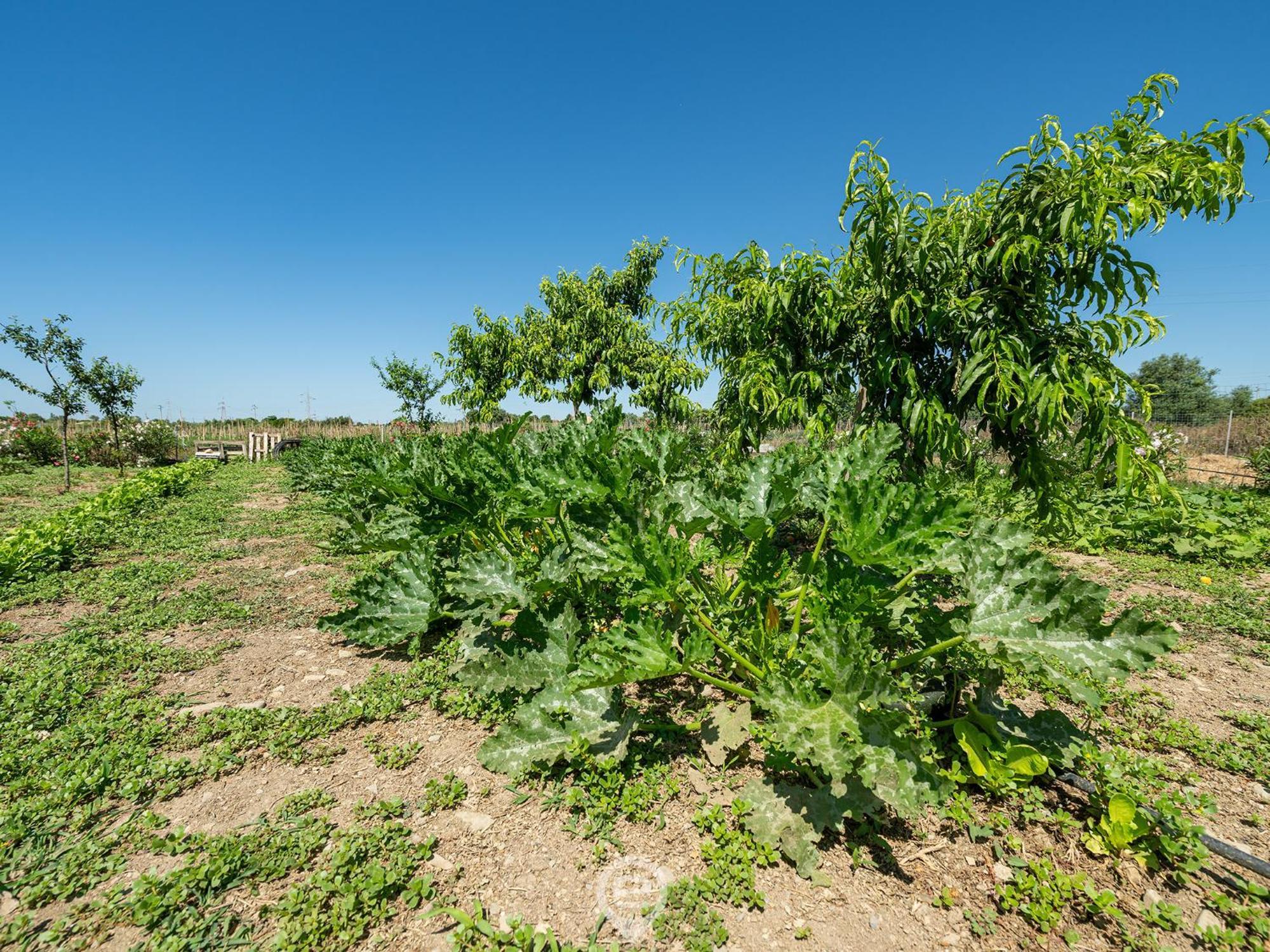 דירות Maracalagonis Tanca De Mar מראה חיצוני תמונה